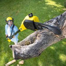 Best Tree Mulching  in Long Beach, CA